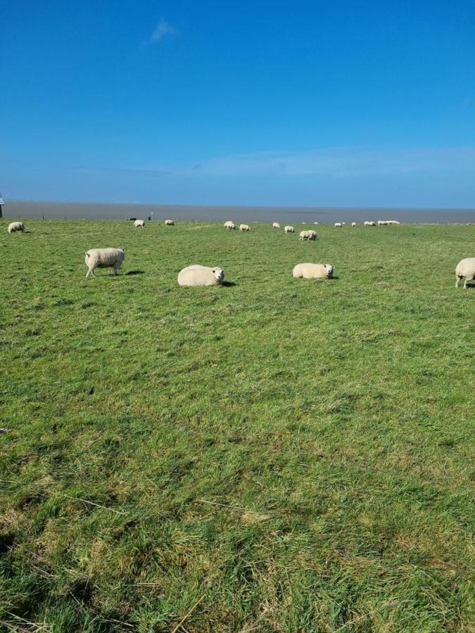 Meerblick Wattenmeer ,50M Vom Meer,Strand 300M Westerland Exteriér fotografie